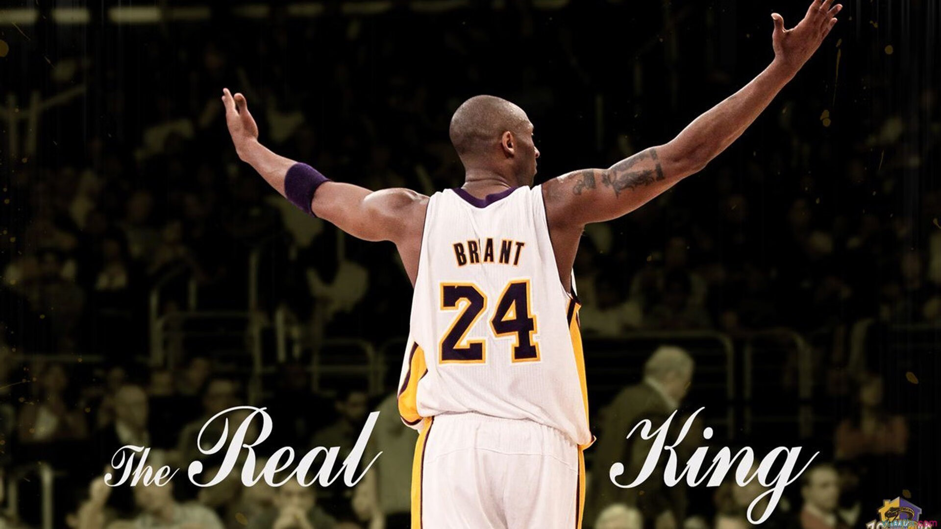 米兰体育app官网-【青春力量】丁俊晖从少年到世界冠军的成长故事，丁俊晖是哪个运动项目的冠军